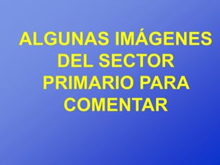 ALGUNAS IMÁGENES
   DEL SECTOR
  PRIMARIO PARA
    COMENTAR
 