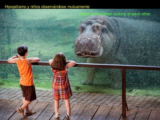 Las 13 Imagenes Mas Sorprendentes De Los Oceanos National Geographic En Espanol