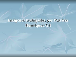 Imágenes trabajadas por Patricia Henriquez Gil 