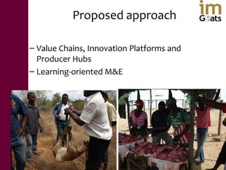 Small ruminant value chains for reducing poverty and increasing food security in dryland areas of India and Mozambique