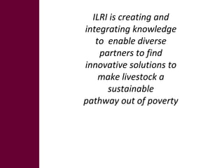 imGoats research strategy