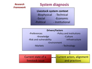 imGoats research strategy