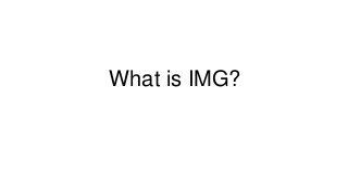 What is IMG?
 