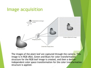 Image acquisition
The images of the plant leaf are captured through the camera. This
image is in RGB (Red, Green and Blue) for color transformation
structure for the RGB leaf image is created, and then a device-
independent color space transformation for the color transformation
structure is applied.
 