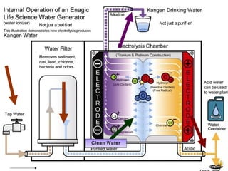 Not just a purifier!

Not just a purifier!

Clean Water

 