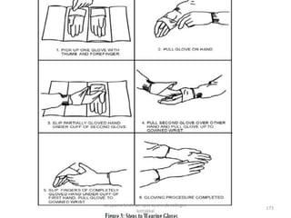 173
anupama krishnan vpsv ayurveda collegee
kottakkal
 