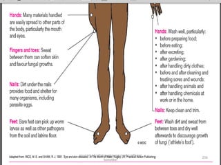 236
anupama krishnan vpsv ayurveda collegee
kottakkal
 