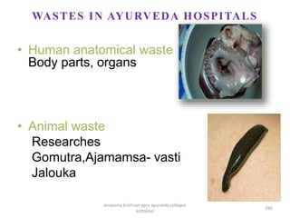 • Human anatomical waste
Body parts, organs
• Animal waste
Researches
Gomutra,Ajamamsa- vasti
Jalouka
WASTES IN AYURVEDA HOSPITALS
266
anupama krishnan vpsv ayurveda collegee
kottakkal
 