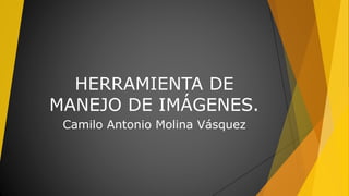 HERRAMIENTA DE
MANEJO DE IMÁGENES.
Camilo Antonio Molina Vásquez
 