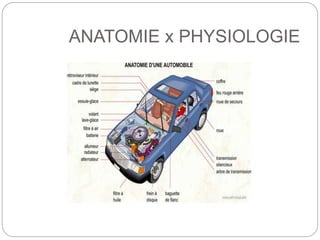 ANATOMIE x PHYSIOLOGIE
 