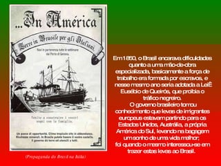 Em 1850, o Brasil encarava dificuldades quanto a uma mão-de-obra especializada, basicamente a força de trabalho era formada por escravos, e nesse mesmo ano seria adotada a Lei  Eusébio de Queirós, que proibia o tráfico negreiro. O governo brasileiro tomou conhecimento que levas de imigrantes europeus estavam partindo para os Estados Unidos, Austrália, a própria América do Sul, levando na bagagem um sonho de uma vida melhor;  foi quando o mesmo interessou-se em trazer estas levas ao Brasil.  (Propaganda do Brasil na Itália) 