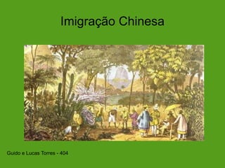 Imigração Chinesa
Guido e Lucas Torres - 404
 
