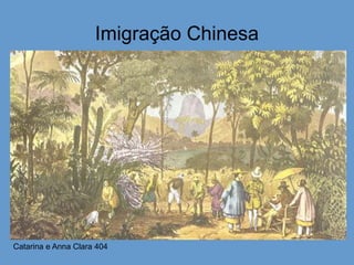 Imigração Chinesa
Catarina e Anna Clara 404
 