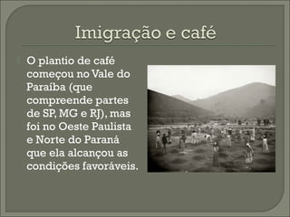  O plantio de café
começou no Vale do
Paraíba (que
compreende partes
de SP, MG e RJ), mas
foi no Oeste Paulista
e Norte do Paraná
que ela alcançou as
condições favoráveis.
 