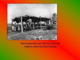 Recomeçando sua vida no meio do
   mato e entre animais ferozes.
 