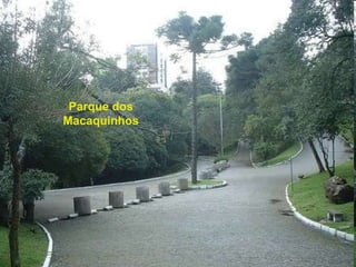 Parque dos
Macaquinhos
 