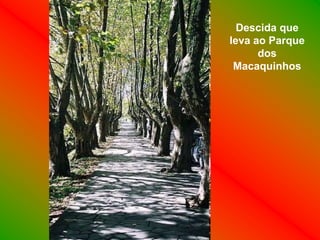 Descida que
leva ao Parque
      dos
 Macaquinhos
 