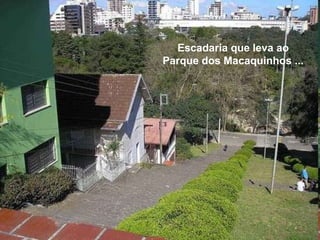 Escadaria que leva ao
Parque dos Macaquinhos ...
 