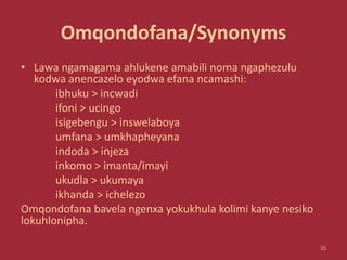 Omqondofana/Synonyms
• Lawa ngamagama ahlukene amabili noma ngaphezulu
kodwa anencazelo eyodwa efana ncamashi:
ibhuku > incwadi
ifoni > ucingo
isigebengu > inswelaboya
umfana > umkhapheyana
indoda > injeza
inkomo > imanta/imayi
ukudla > ukumaya
ikhanda > ichelezo
Omqondofana bavela ngenxa yokukhula kolimi kanye nesiko
lokuhlonipha.
15
 