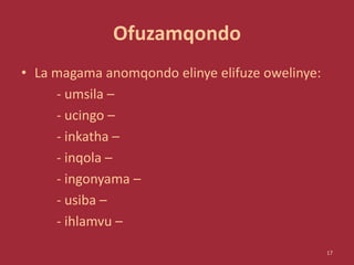 Ofuzamqondo
• La magama anomqondo elinye elifuze owelinye:
- umsila –
- ucingo –
- inkatha –
- inqola –
- ingonyama –
- usiba –
- ihlamvu –
17
 