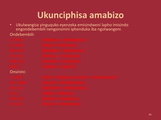 Ukunciphisa amabizo
• Ukulwangisa yinguquko eyenzeka emisindweni lapho imisindo
engondebembili nengonsinini iphenduka iba ngolwangeni.
Ondebembili:
b > tsh [imbobo > imbotshana]
p > tsh [ikopi > ikotshana]
ph > sh [iphaphu > iphashana]
m > ny [insimu > insinyana]
mb > nj [insimbi > insinjana]
bh > j [isobho > isojana]
Onsinini:
t > tsh [ikati > ikatshana; imoto > imotshwana]
nt > ntsh [isonto > isontshwana]
th > sh [isikhathi > isikhashana]
d > j [idada > idajana]
nd > nj [idanda > idanjana]
n > ny [inunu > inunywana]
34
 