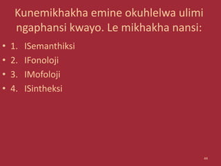 Kunemikhakha emine okuhlelwa ulimi
ngaphansi kwayo. Le mikhakha nansi:
• 1. ISemanthiksi
• 2. IFonoloji
• 3. IMofoloji
• 4. ISintheksi
44
 