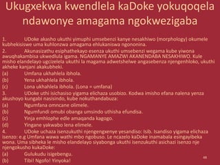 Ukugxekwa kwendlela kaDoke yokuqoqela
ndawonye amagama ngokwezigaba
1. UDoke akasho ukuthi yimuphi umsebenzi kanye nesakhiwo (morphology) okumele
kubhekisiswe uma kuhlonzwa amagama ehlukaniswa ngononina.
2. Akunasizathu esiphathekayo esenza ukuthi umsebenzi wegama kube yiwona
awuqhakambisa ukwedlula igama. NGAMANYE AMAZWI AKANENDABA NESAKHIWO. Kule
misho elandelayo ugcizelela ukuthi la magama adwetshelwe angasebenza njengenhloko, ukuthi
akheke kanjani akakubheki.
(a) Umfana ukhahlela ibhola.
(b) Yena ukhahlela ibhola.
(c) Lona ukhahlela ibhola. (Lona = umfana)
3. UDoke uthi isichasiso yigama elichaza usobizo. Kodwa imisho efana nalena yenza
akushoyo kungabi nasisindo, kube nokuthandabuza:
(a) Ngumfana omncane olimele.
(b) Ngumfundi omubi obanga umsindo uthisha efundisa.
(c) Yinja emhlophe edle amaqanda kagogo.
(d) Yingane yakwabo lena elimele.
4. UDoke uchaza isenzukuthi njengengxenye yesandiso: Isib. Isandiso yigama elichaza
isenzo: e.g Umfana wawa wathi mbo ngobuso. Le ncazelo kaDoke inamabala esingayibeka
wona. Uma sibheka le misho elandelayo siyabonga ukuthi isenzukuthi asichazi isenzo nje
njengokusho kukaDoke:
(a) Gulukudu isigebengu.
(b) Tibi! Ngofo! Yinyoka!
48
 