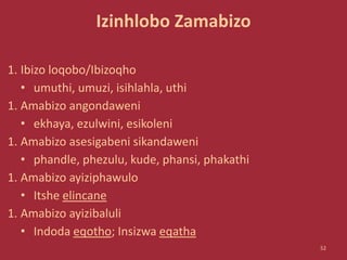Izinhlobo Zamabizo
1. Ibizo loqobo/Ibizoqho
• umuthi, umuzi, isihlahla, uthi
1. Amabizo angondaweni
• ekhaya, ezulwini, esikoleni
1. Amabizo asesigabeni sikandaweni
• phandle, phezulu, kude, phansi, phakathi
1. Amabizo ayiziphawulo
• Itshe elincane
1. Amabizo ayizibaluli
• Indoda eqotho; Insizwa eqatha
52
 