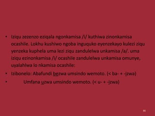 • Iziqu zezenzo eziqala ngonkamisa /i/ kuthiwa zinonkamisa
ocashile. Lokhu kushiwo ngoba inguquko eyenzekayo kulezi ziqu
yenzeka kuphela uma lezi ziqu zandulelwa unkamisa /a/. uma
iziqu ezinonkamisa /i/ ocashile zandulelwa unkamisa omunye,
uyalahlwa lo nkamisa ocashile:
• Izibonelo: Abafundi bezwa umsindo wemoto. (< ba- + -izwa)
• Umfana uzwa umsindo wemoto. (< u- + -izwa)
86
 