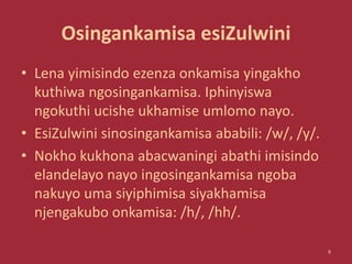 Osingankamisa esiZulwini
• Lena yimisindo ezenza onkamisa yingakho
kuthiwa ngosingankamisa. Iphinyiswa
ngokuthi ucishe ukhamise umlomo nayo.
• EsiZulwini sinosingankamisa ababili: /w/, /y/.
• Nokho kukhona abacwaningi abathi imisindo
elandelayo nayo ingosingankamisa ngoba
nakuyo uma siyiphimisa siyakhamisa
njengakubo onkamisa: /h/, /hh/.
9
 