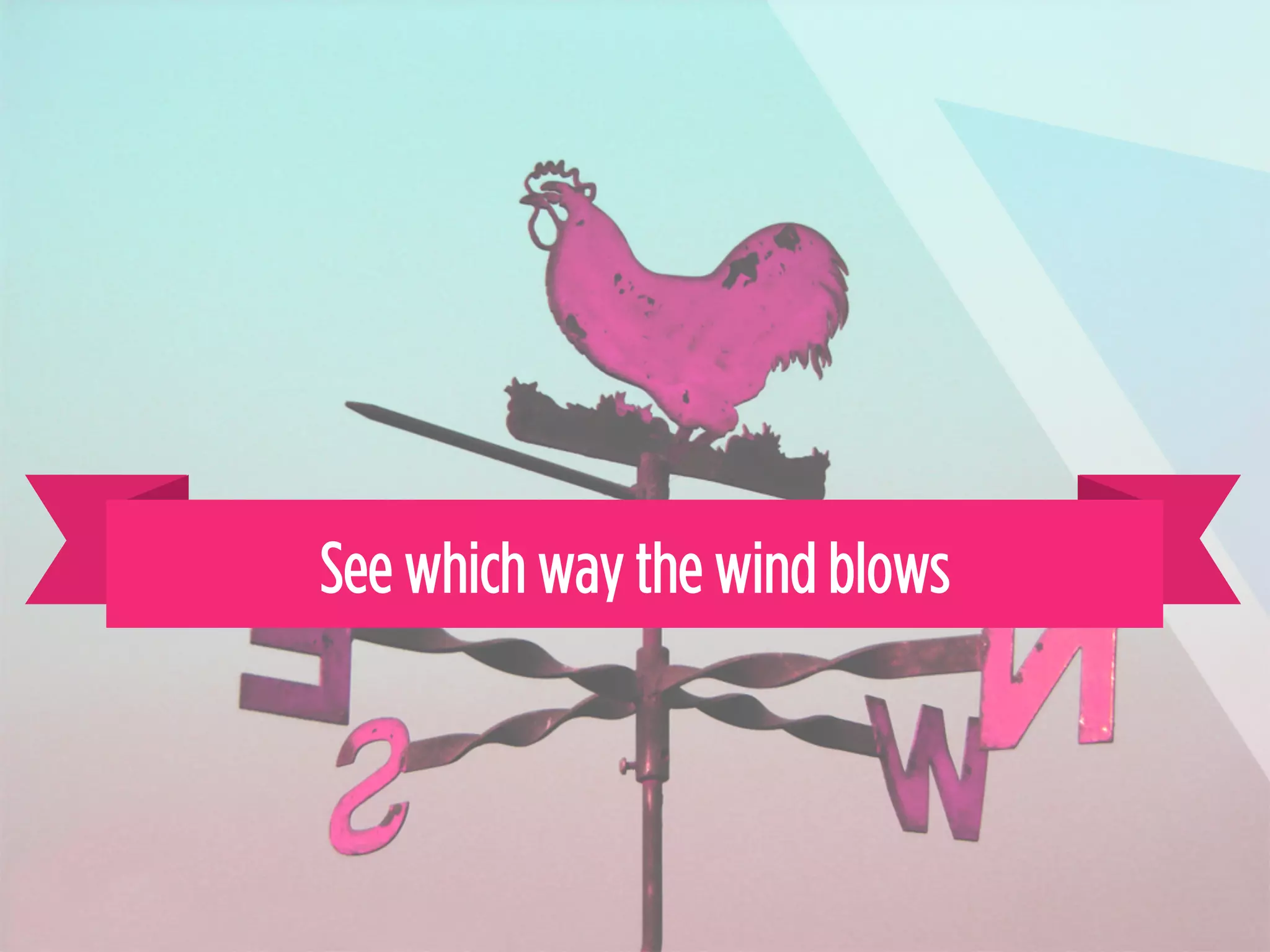 See which way the wind blows
