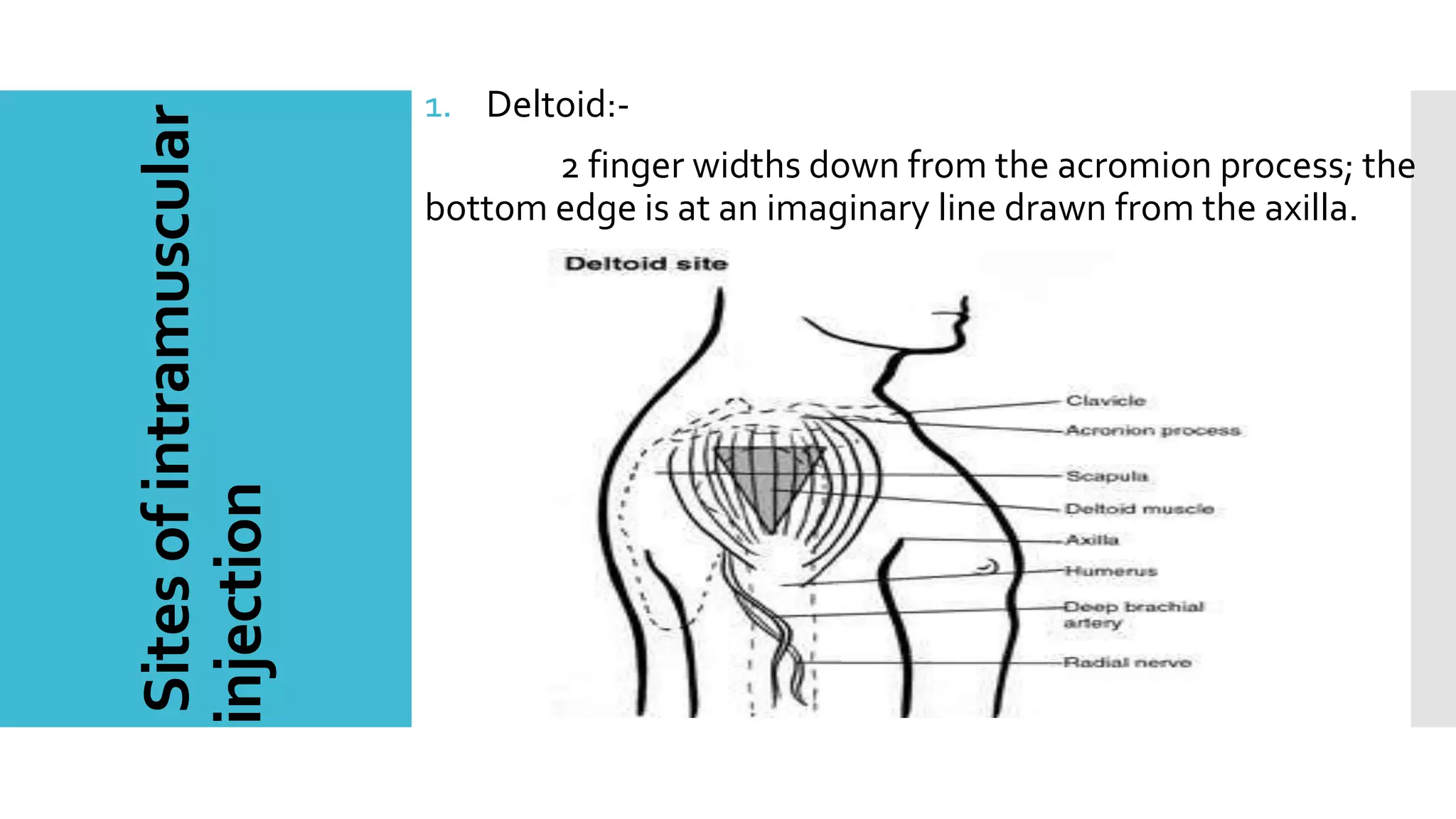 Sitesofintramuscular
injection
1. Deltoid:-
2 finger widths down from the acromion process; the
bottom edge is at an imaginary line drawn from the axilla.
 
