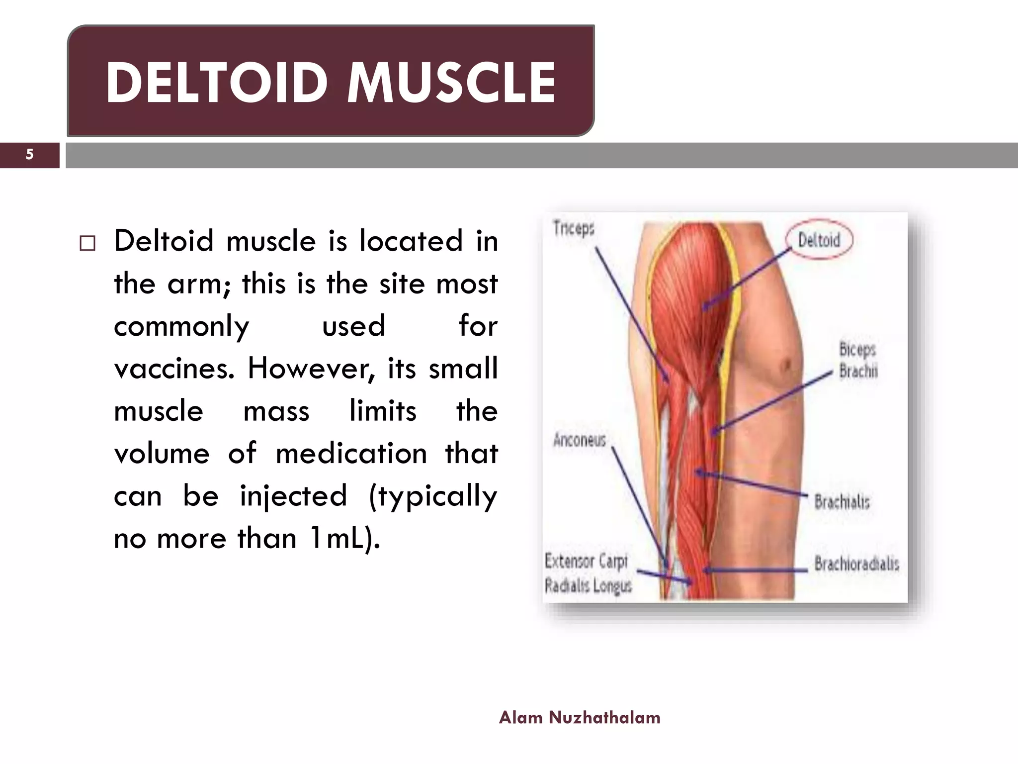  Deltoid muscle is located in
the arm; this is the site most
commonly used for
vaccines. However, its small
muscle mass limits the
volume of medication that
can be injected (typically
no more than 1mL).
Alam Nuzhathalam
5
DELTOID MUSCLE
 