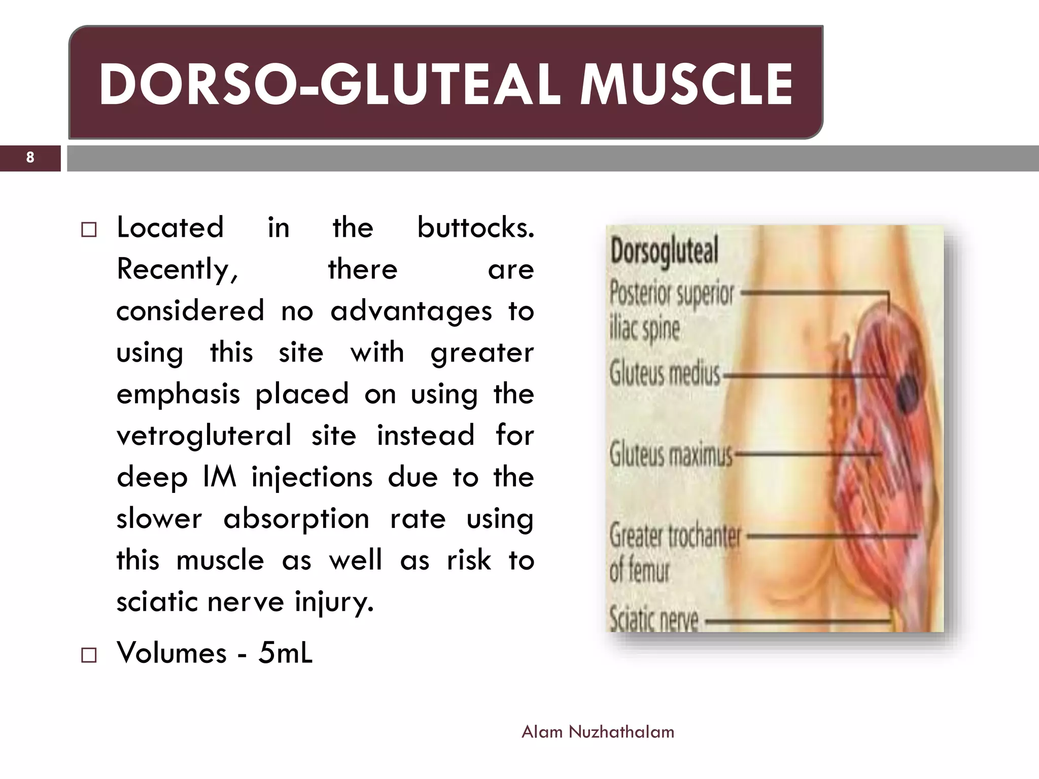  Located in the buttocks.
Recently, there are
considered no advantages to
using this site with greater
emphasis placed on using the
vetrogluteral site instead for
deep IM injections due to the
slower absorption rate using
this muscle as well as risk to
sciatic nerve injury.
 Volumes - 5mL
Alam Nuzhathalam
8
DORSO-GLUTEAL MUSCLE
 