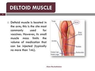 Delmus Injection Intramuscular Injection or IM Injection | PDF