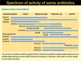 Spectrum of activity of some antibiotics
 