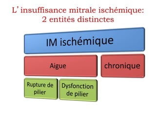 L’insuffisance mitrale ischémique: 
2 entités distinctes 
 