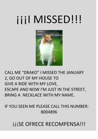 ¡¡¡I MISSED!!!<br />CALL ME “DRAKO” I MISSED THE JANUARY 2, GO OUT OF MY HOUSE TO GIVE A RIDE WITH MY LOVE, ESCAPE AND NOW I'M JUST IN THE STREET, <br />BRING A  NECKLACE WITH MY NAME.<br />IF YOU SEEN ME PLEASE CALL THIS NUMBER:<br />8004896<br />¡¡¡SE OFRECE RECOMPENSA!!!<br />