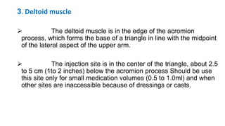 3. Deltoid muscle
 The deltoid muscle is in the edge of the acromion
process, which forms the base of a triangle in line with the midpoint
of the lateral aspect of the upper arm.
 The injection site is in the center of the triangle, about 2.5
to 5 cm (1to 2 inches) below the acromion process Should be use
this site only for small medication volumes (0.5 to 1.0ml) and when
other sites are inaccessible because of dressings or casts.
 