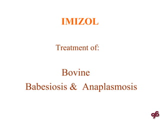 IMIZOL   Treatment of: Bovine Babesiosis &  Anaplasmosis 