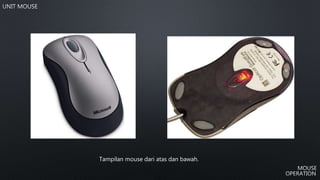 Tampilan mouse dari atas dan bawah.
 