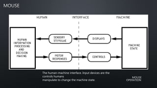 The human-machine interface. Input devices are the
controls humans
manipulate to change the machine state.
 