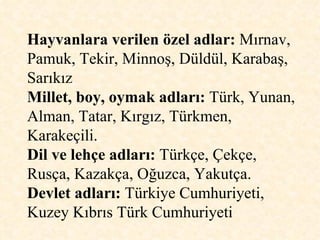 Hayvanlara verilen özel adlar:  Mırnav, Pamuk, Tekir, Minnoş, Düldül, Karabaş, Sarıkız  Millet, boy, oymak adları:  Türk, Yunan, Alman, Tatar, Kırgız, Türkmen, Karakeçili.  Dil ve lehçe adları:  Türkçe, Çekçe, Rusça, Kazakça, Oğuzca, Yakutça.  Devlet adları:  Türkiye Cumhuriyeti, Kuzey Kıbrıs Türk Cumhuriyeti  