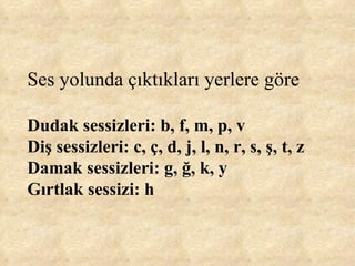 Ses yolunda çıktıkları yerlere göre  Dudak sessizleri: b, f, m, p, v Diş sessizleri: c, ç, d, j, l, n, r, s, ş, t, z Damak sessizleri: g, ğ, k, y Gırtlak sessizi: h 
