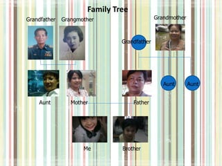 Grandfather Grangmother
Aunt Mother
Me Brother
Father
Grandmother
Aunt Aunt
Grandfather
Family Tree
 
