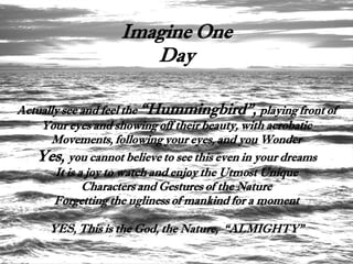 Imagine One
                     Day

Actually see and feel the “Hummingbird”, playing front of
    Your eyes and showing off their beauty, with acrobatic
      Movements, following your eyes, and you Wonder
   Yes, you cannot believe to see this even in your dreams
       It is a joy to watch and enjoy the Utmost Unique
              Characters and Gestures of the Nature
       Forgetting the ugliness of mankind for a moment

     YES, This is the God, the Nature, “ALMIGHTY”
 