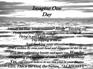Imagine One
                       Day

Actually the most Exotic common“ Birds” watching you
    Flying over your head in cross direction showing off
         Flying in pair’s with acrobatic movements
                   Flip flopping in the air
              And Seeking your attention
All of a sudden fly over your head and disappear in the tin air
  With their astonishing beauty, and again you Wonder
 Forgetting the ugliness of mankind for a moment
  Yes, you cannot believe to see this even in your dreams
YES, This is the God, the Nature, “ALMIGHTY”
 