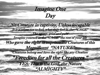 Imagine One
                      Day
  No Creature in captivity, Unless incapable
   It is a crime not to feel, what they feel in the “CAGE”
                  The agony, grief and pain
    Imagine yourself in the “CAGE” the rest of your life
Who gave the right to imprison the Creatures of this
             Magnificent “NATURE”
    Creatures belong and have the right like any Creature
    “Freedom for all the Creatures “
        YES, This is the God, the Nature
               “ALMIGHTY”
 