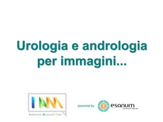 Urologia e andrologia 
per immagini... 
powered by 
 