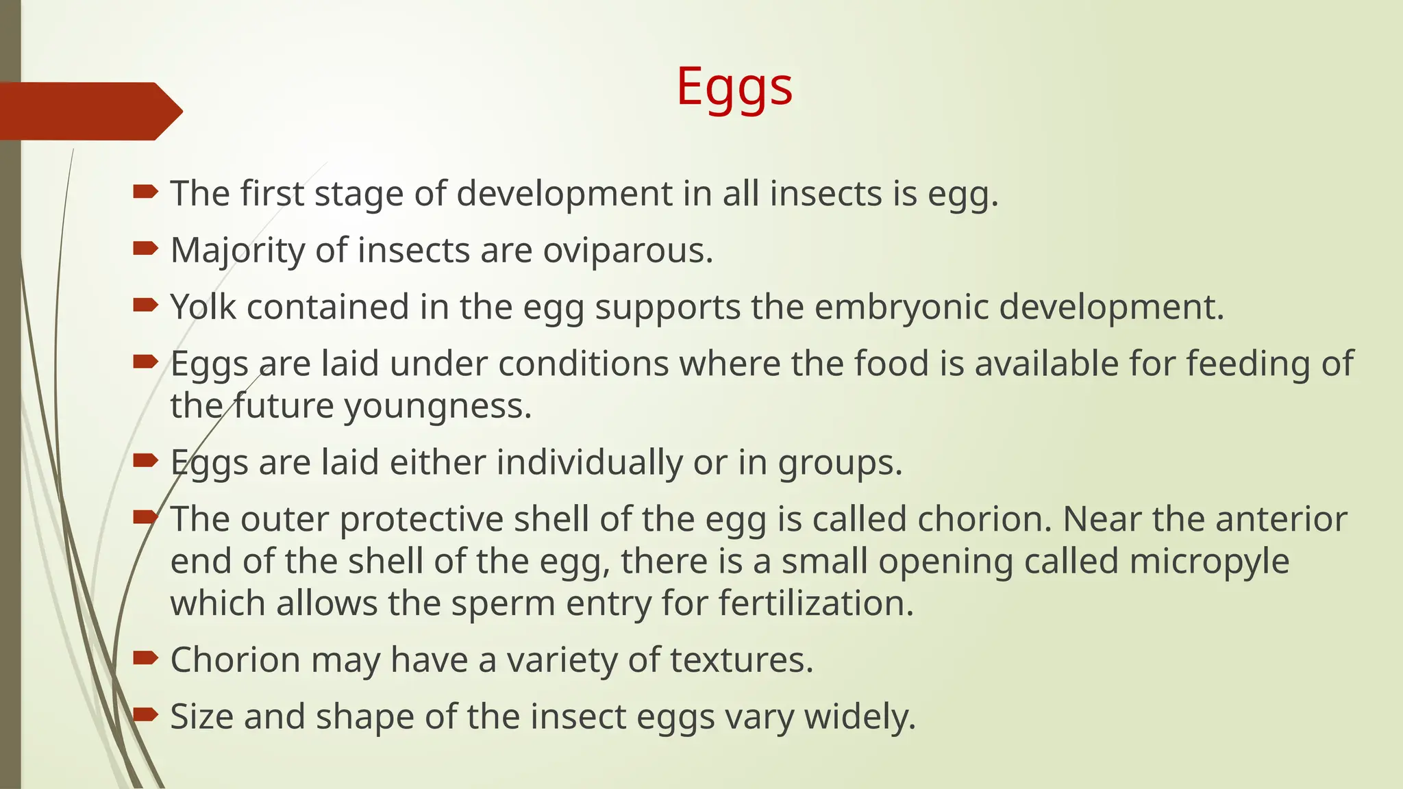 Immature stages of insects ;Types of egg, larvae and pupa | PPTX